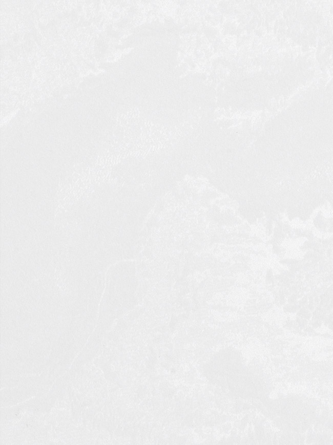 皎玉